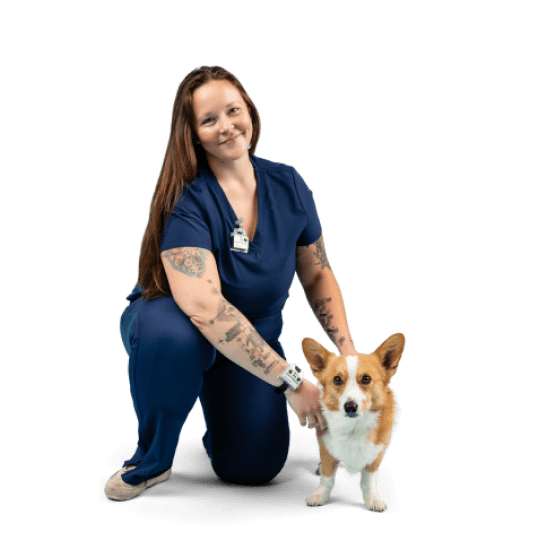 A vet tech poses with a patient while wearing blue scrubs and a veterinary dosimeter badge.