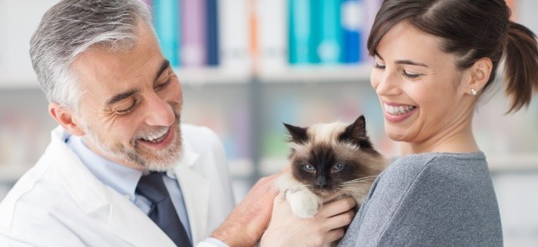 A veterinarian greets a feline patient and her owner.