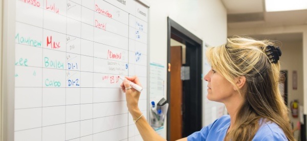 A vet tech fills out a patient board in the back of an animal clinic.