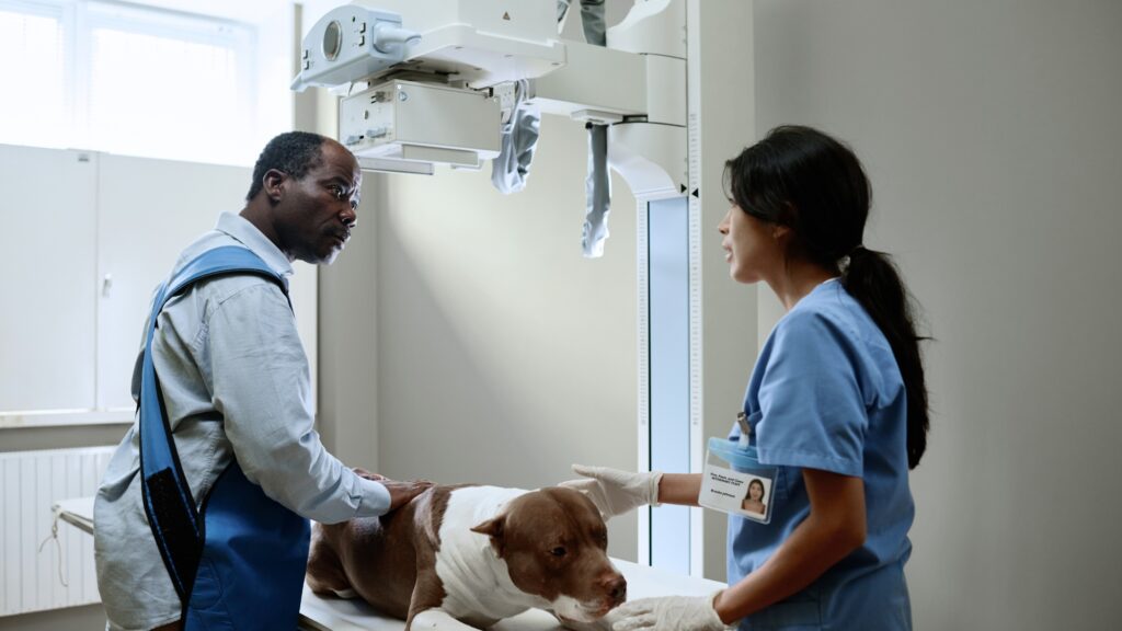 Veterinary staff prepare a patient for an X-ray and radiotherapy.