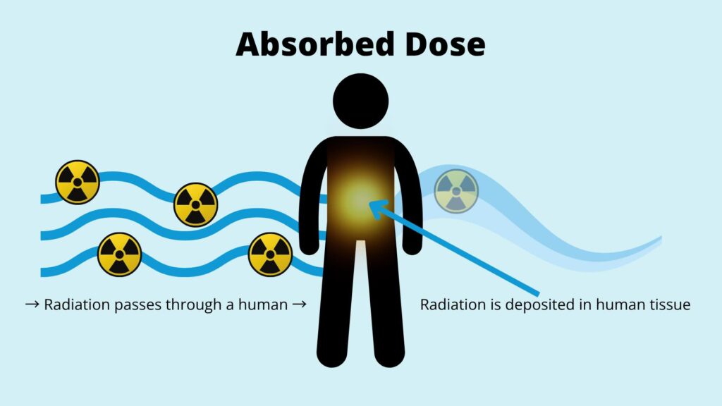 Illustration showing radiation passing through a human figure, with some radiation being absorbed and deposited in the tissue. Text labels read “Radiation passes through a human” and “Radiation is deposited in human tissue.”.