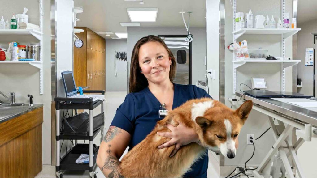 A veterinary tech in dark blue scrubs holds a dog while wearing a TLD dosimeter on the collar of her scrubs with a veterinary clinic in the background.