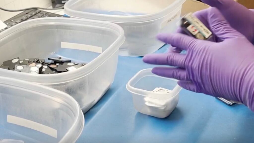 Staff at RDC degate TLD badges